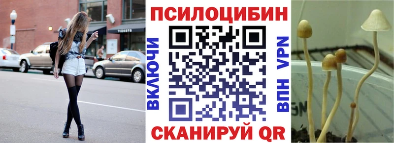 Галлюциногенные грибы Psilocybine cubensis Ессентукская