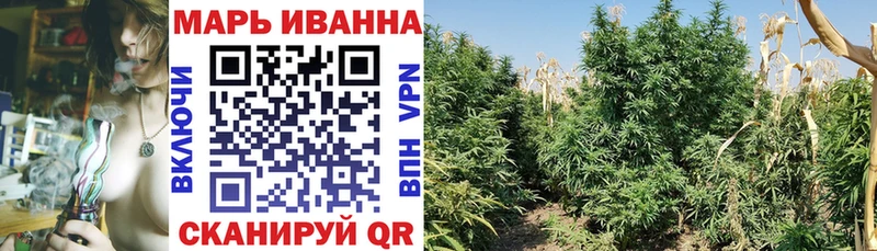 ОМГ ОМГ сайт  как найти   Ессентукская  МАРИХУАНА конопля 